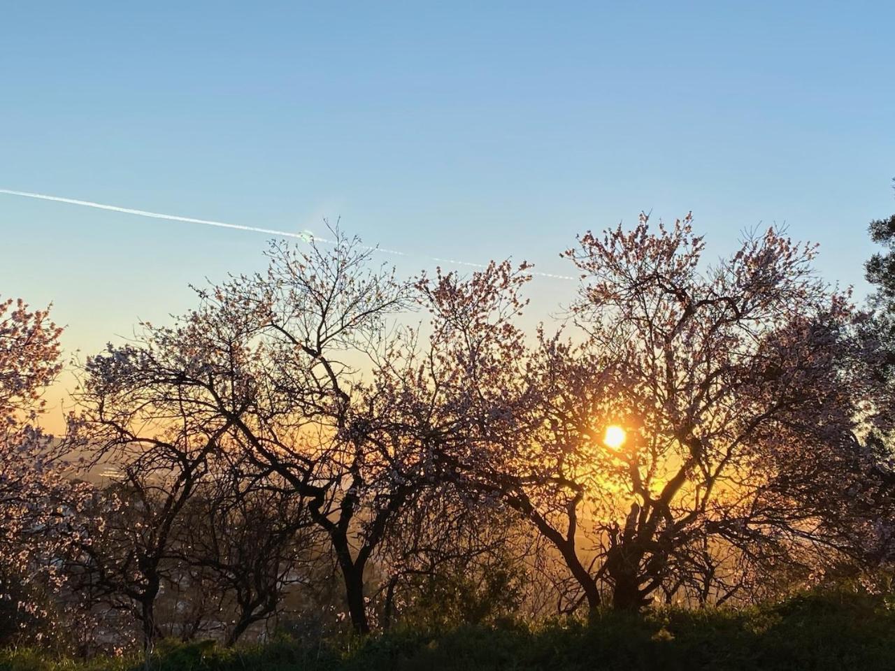 La Suite Sainte Claire Hyères Dış mekan fotoğraf